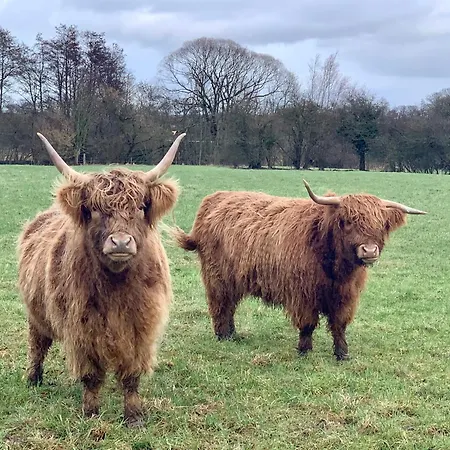 Dein Haus Am Mit Sauna